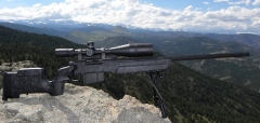 Bolt action sniper/Tactical rifles_4