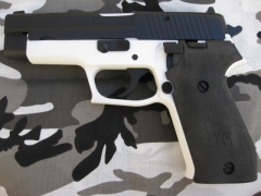 Black and white sig sauer 220_1
